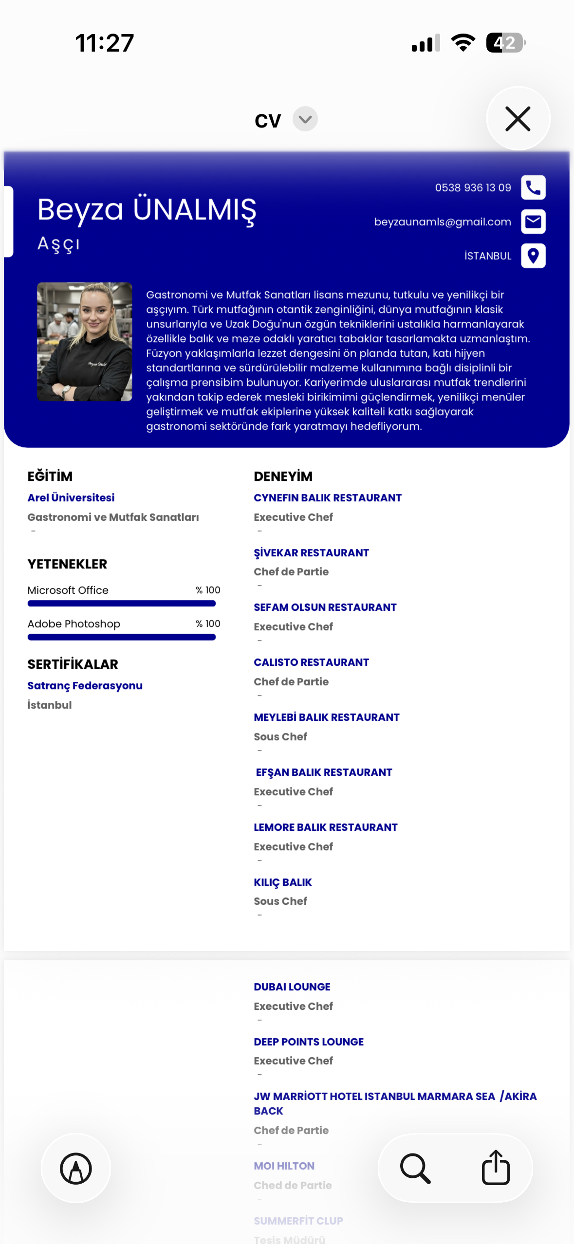 Aşçı Mutfak Şefi Usta